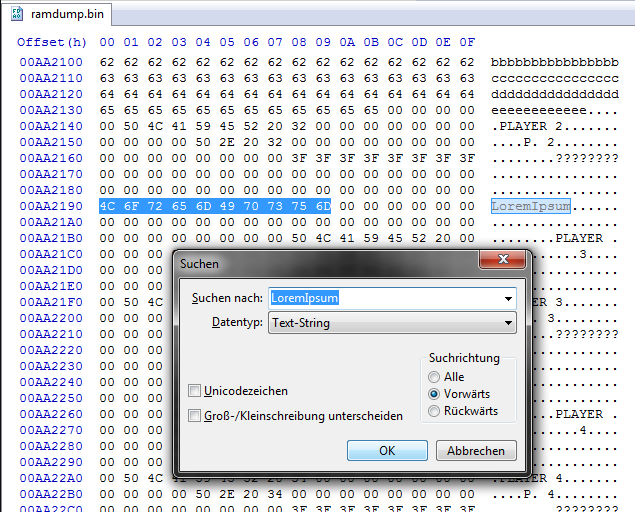 memorydump_lorem.png
